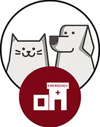 Emergencias